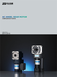 AC Angle Gear Motor Catalog